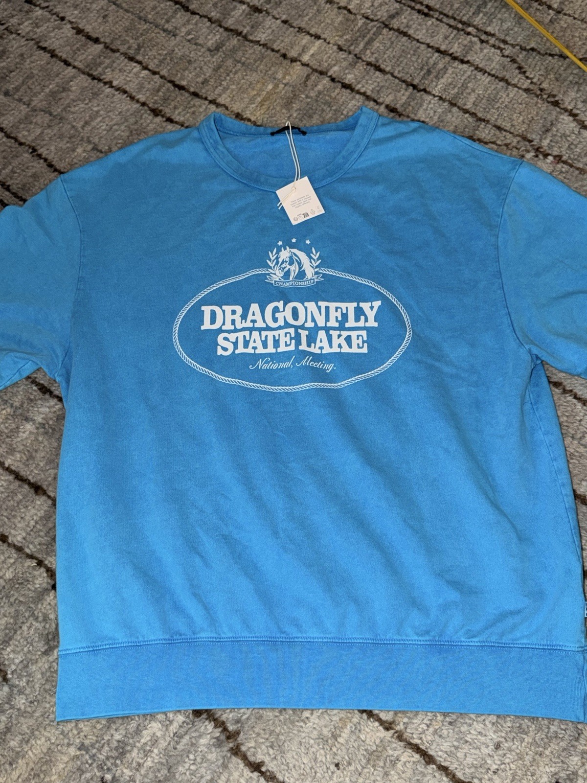 ZARA Classic Blue Graphic T Shirt NWT LARGE Horse Dragonfly State Lake ZARA Classic Blue Graphic T Shirt NWT LARGE Horse Dragonfly State Lake