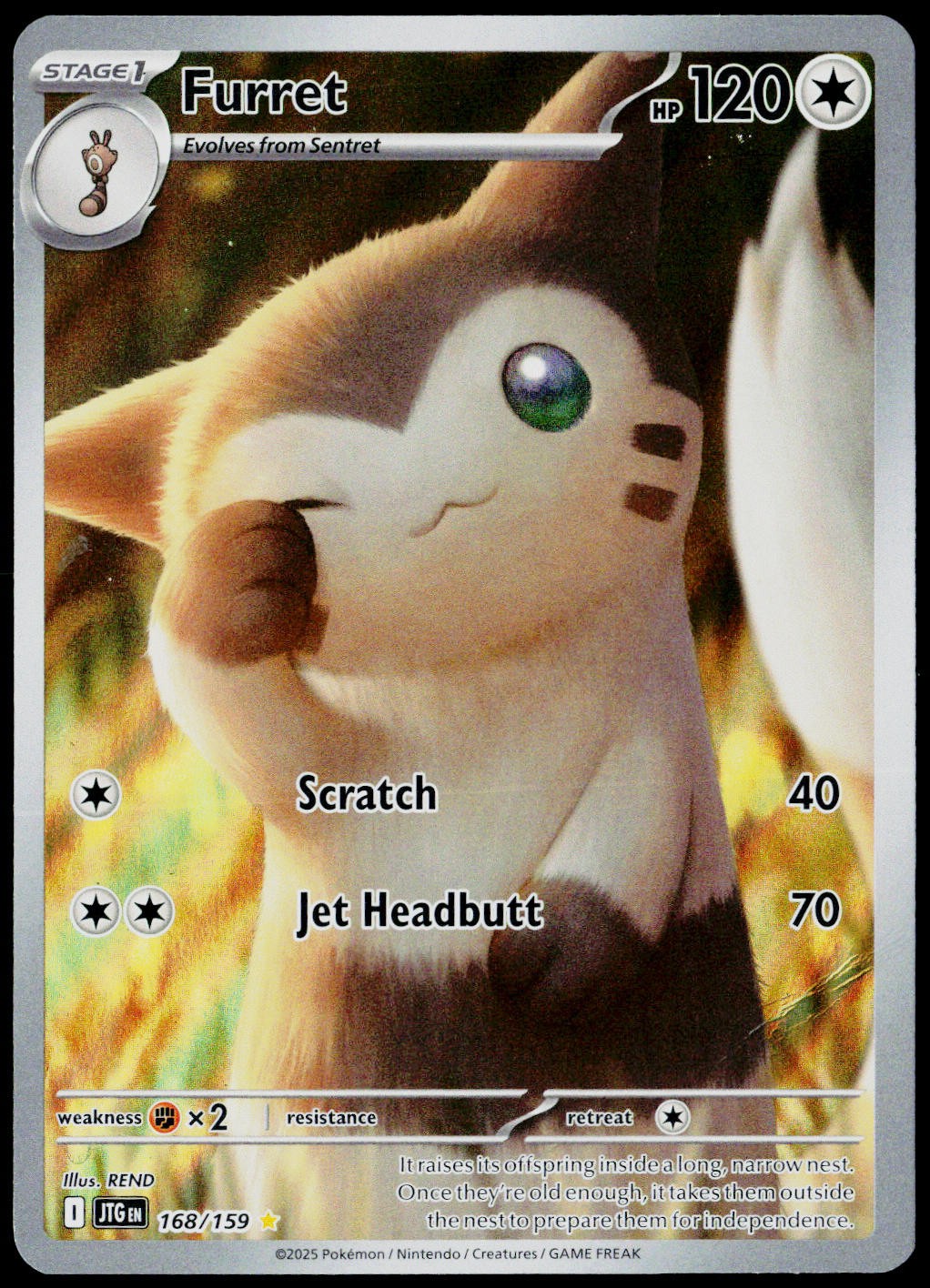Furret 168/159 Journey Together NM Holofoil Furret 168/159 Journey Together NM Holofoil