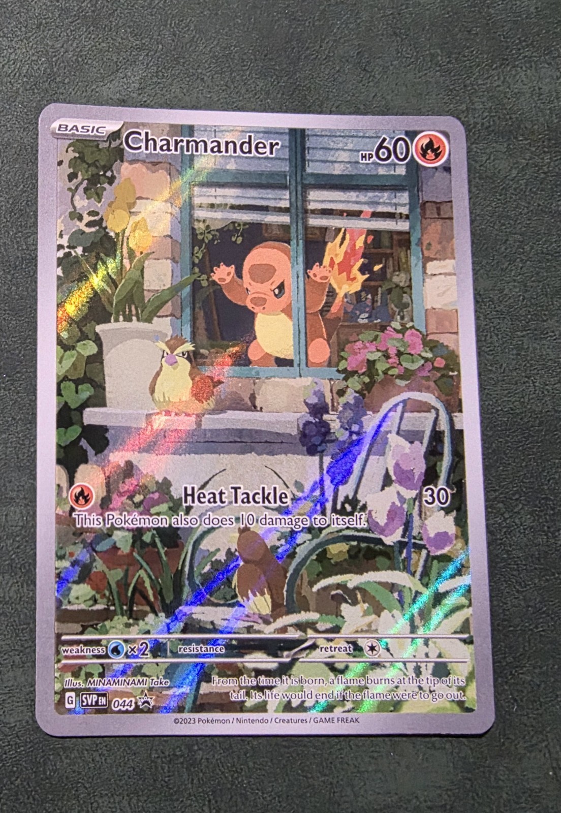 Charmander SV: Promo Holo 044 Pokemon Promos EN Charmander SV: Promo Holo 044 Pokemon Promos EN