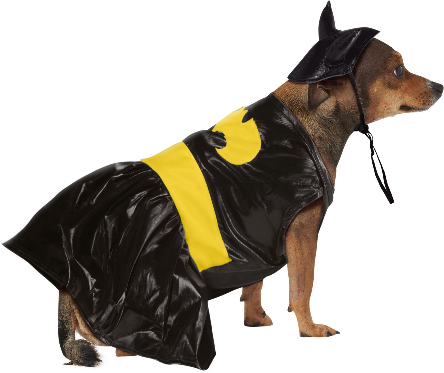 Rubies DC COMICS Batgirl Pet Costume Cosplay Comicon Halloween Party S, M, L, XL Rubies DC COMICS Batgirl Pet Costume Cosplay Comicon Halloween Party S, M, L, XL
