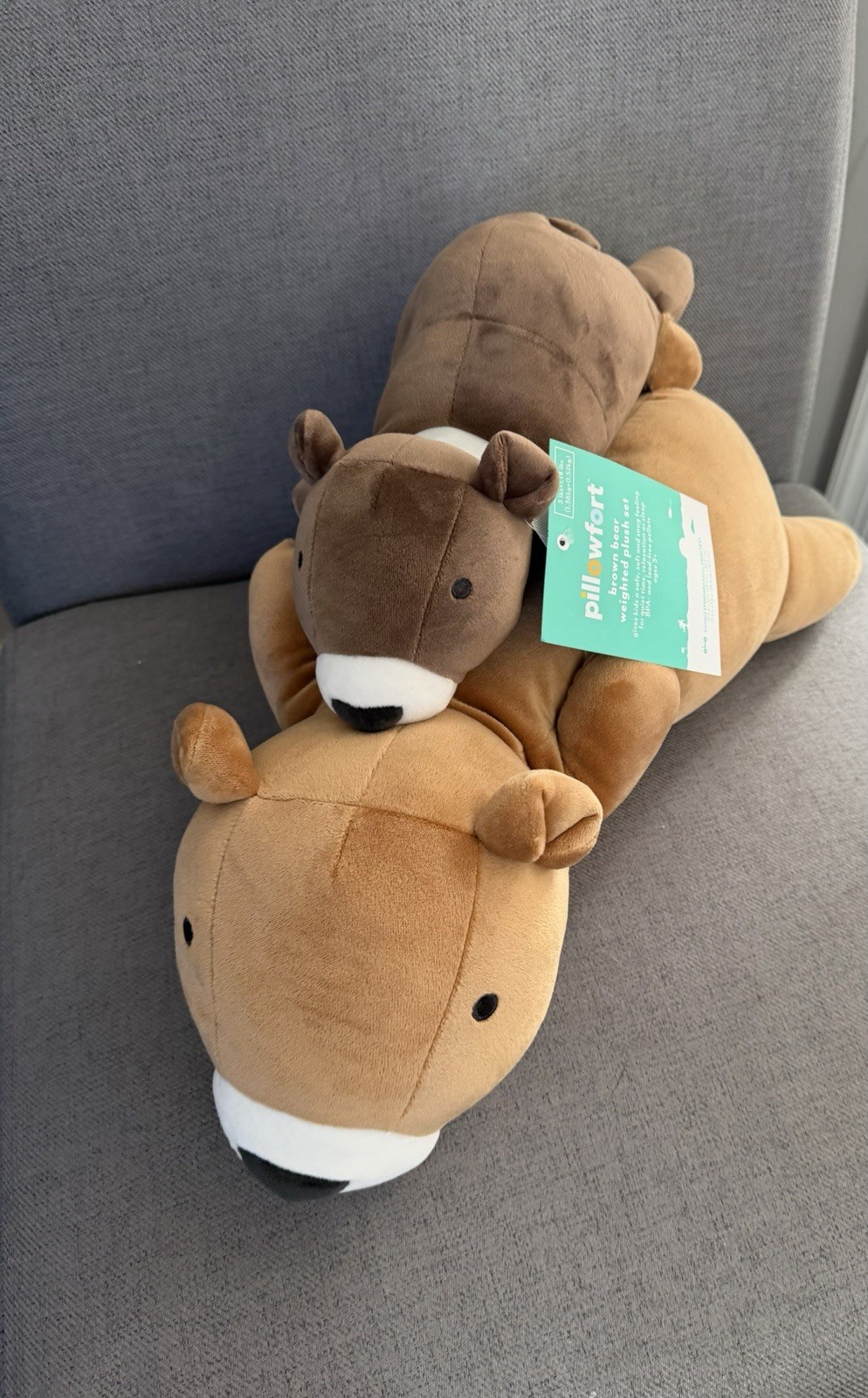 Pillowfort Weighted Brown Bear Plush Set Mommy & Baby NWT Hard To Find Pillowfort Weighted Brown Bear Plush Set Mommy & Baby NWT Hard To Find