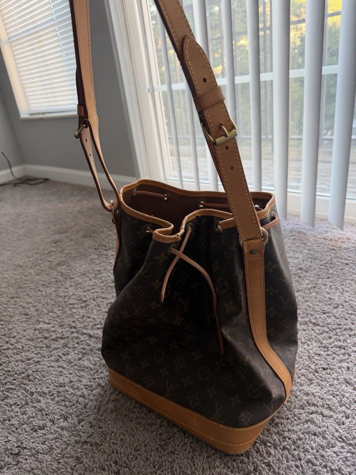 Louis Vuitton Monogram Vintage Neo