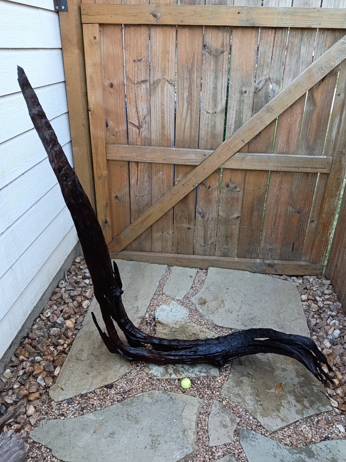 XL Natural Sinking Driftwood for Aquarium XL Natural Sinking Driftwood for Aquarium