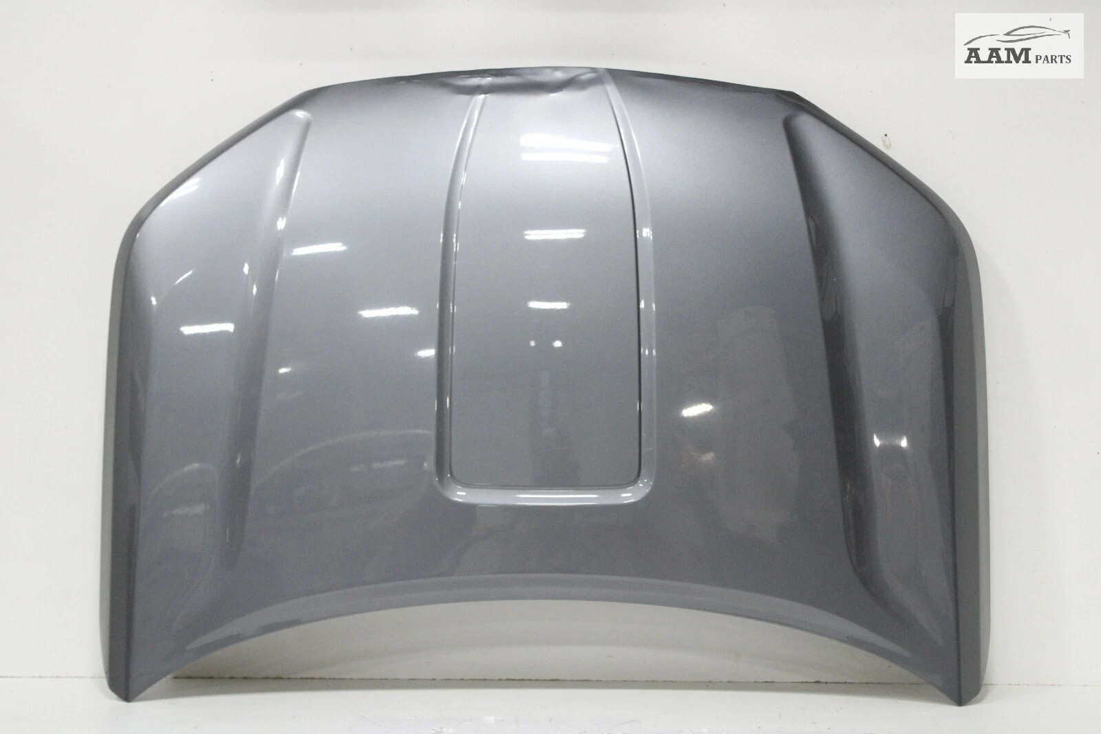 2018-2022 GMC TERRAIN HOOD BONNET SHELL COVER PANEL GRAY METALLIC OEM