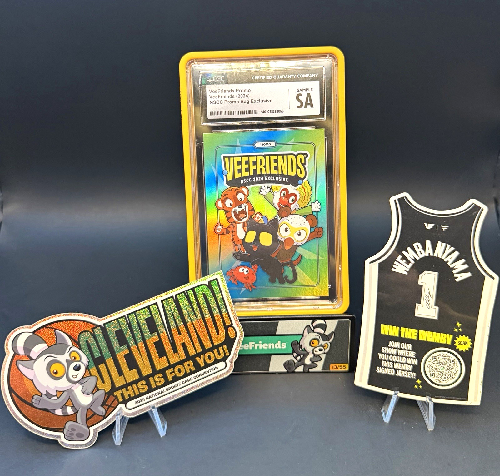 Veefriends 2024 National in Cleveland, Ohio NSCC collection of exclusive items