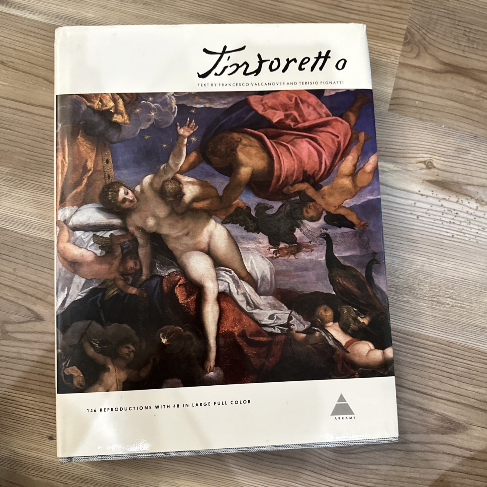 Tintoretto by Terisio Pignatti and Francesco Valcanover (1985, Hardcover)