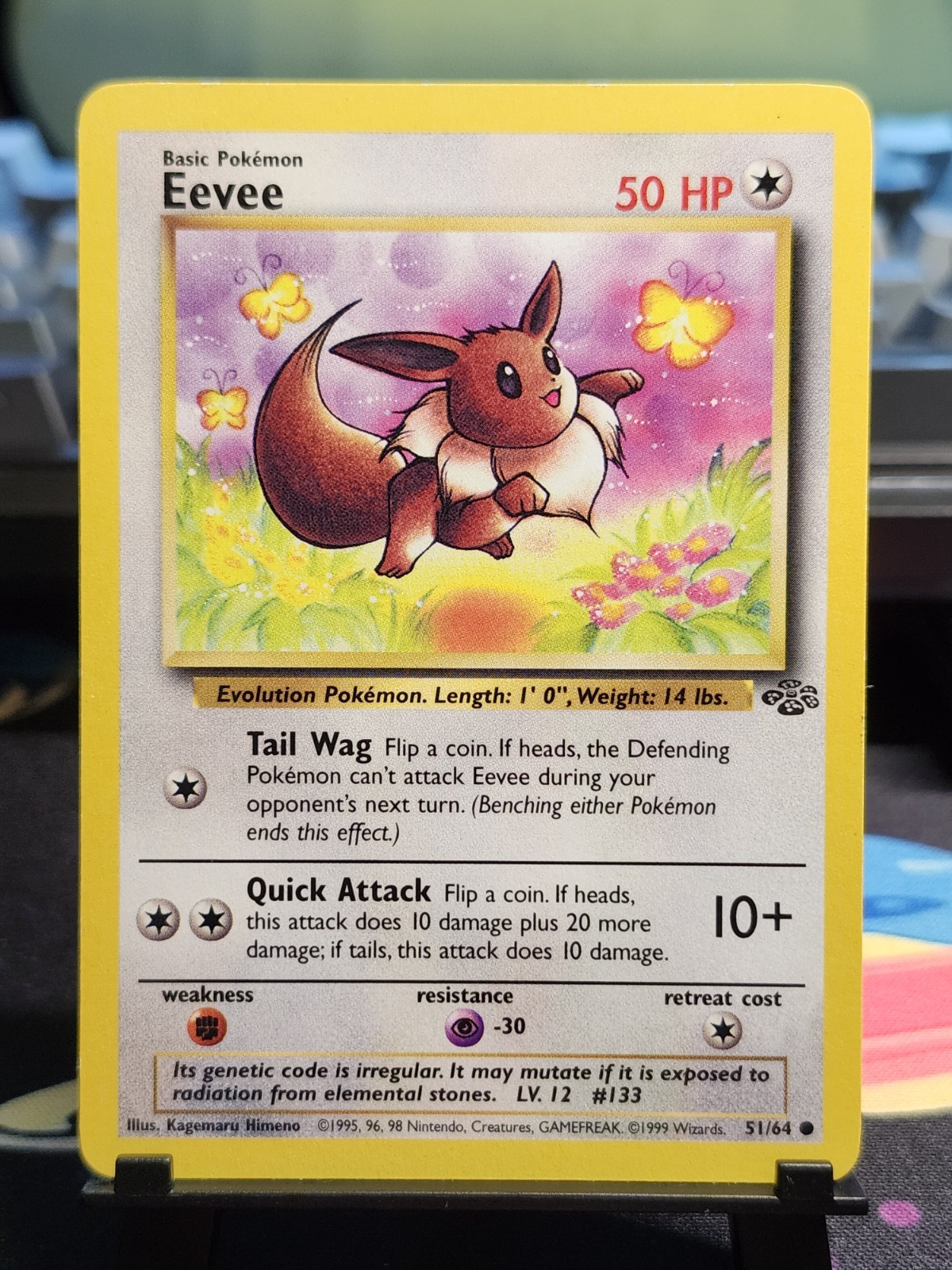 Eevee 51/64 Jungle Regular Eevee 51/64 Jungle Regular