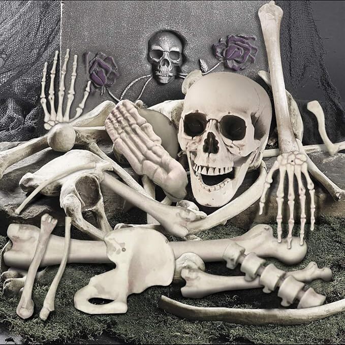 35 Pcs Bag of Bones Halloween Skeleton Skull Set Life Size Graveyard Prop Decor
