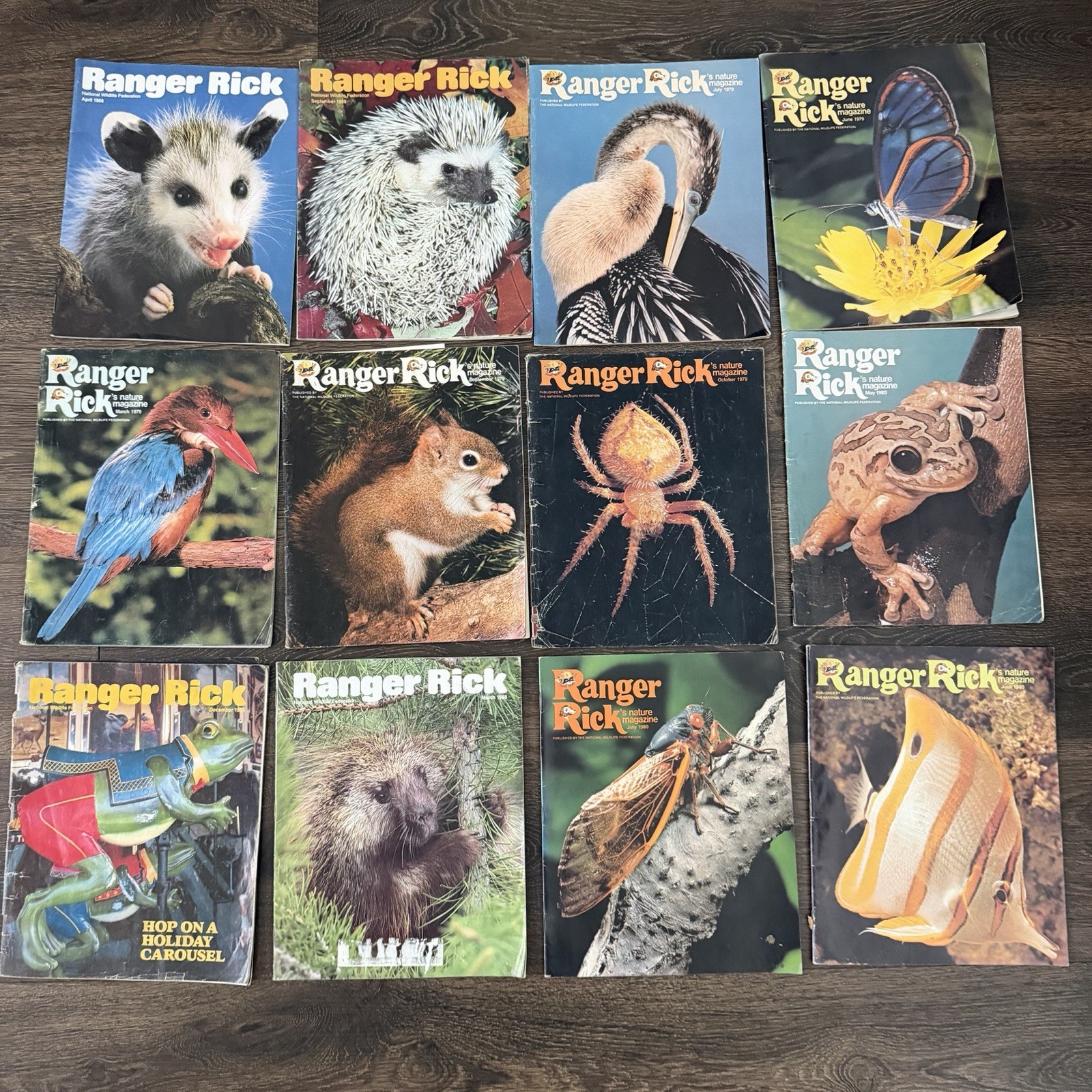 Vintage 1970s 1980s Ranger Rick Magazine Lot of 12 Wildlife Animals Vintage 1970s 1980s Ranger Rick Magazine Lot of 12 Wildlife Animals