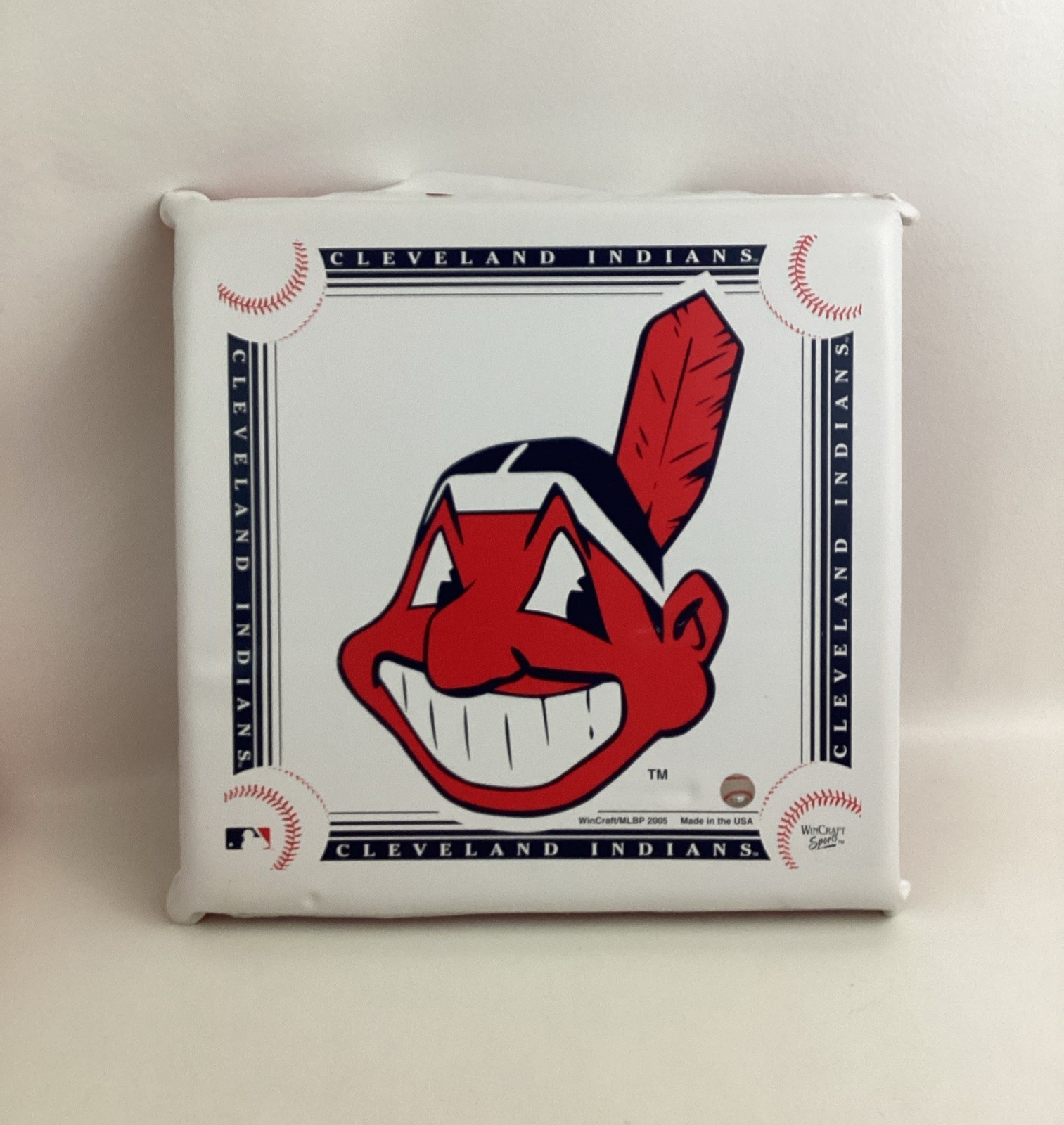 Cleveland Indians Baseball Chief Wahoo Seat Cushion 2005 Wincraft