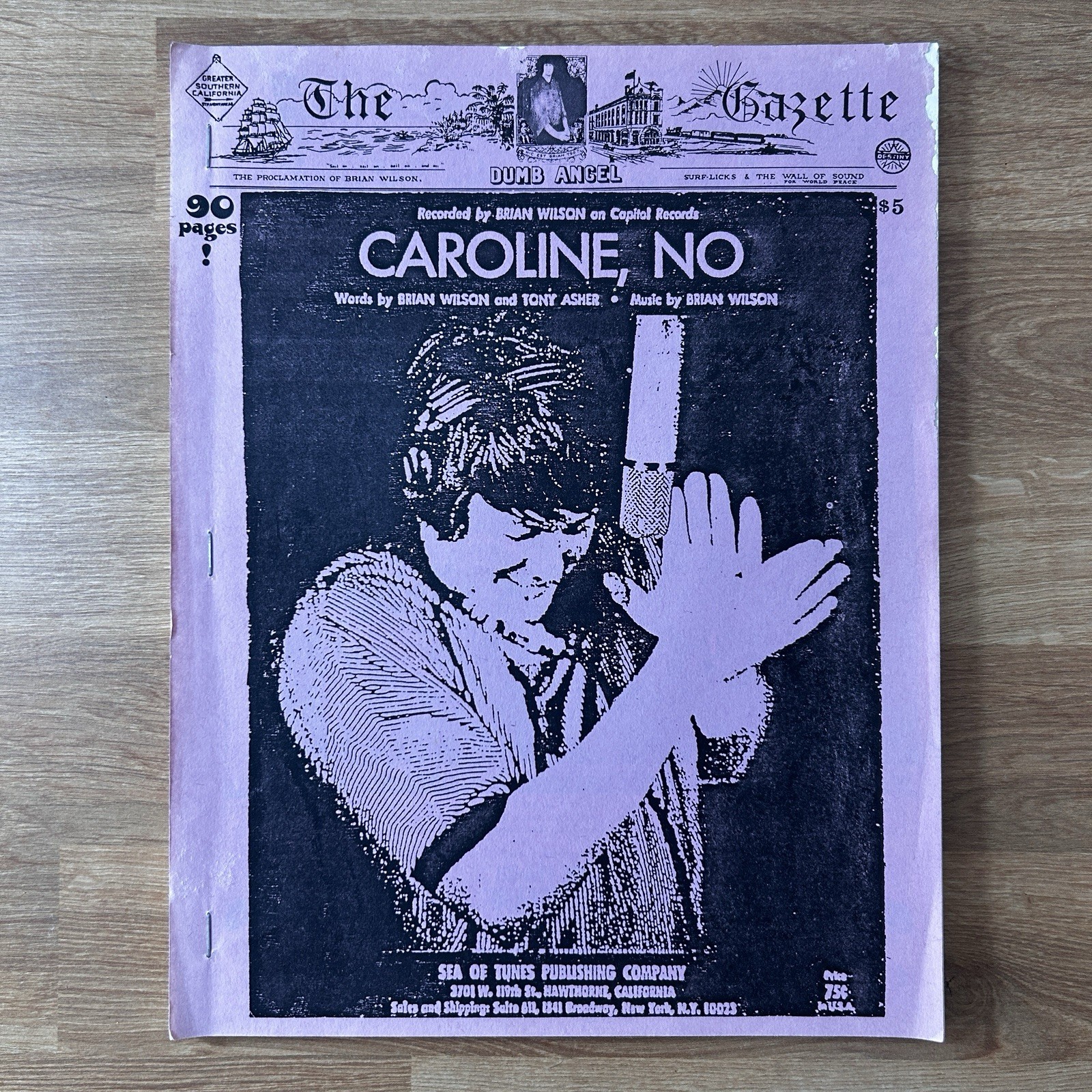 RARE Brian Wilson Caroline No Dumb Angel The Gazette Sea Of Tunes Fanzine Book
