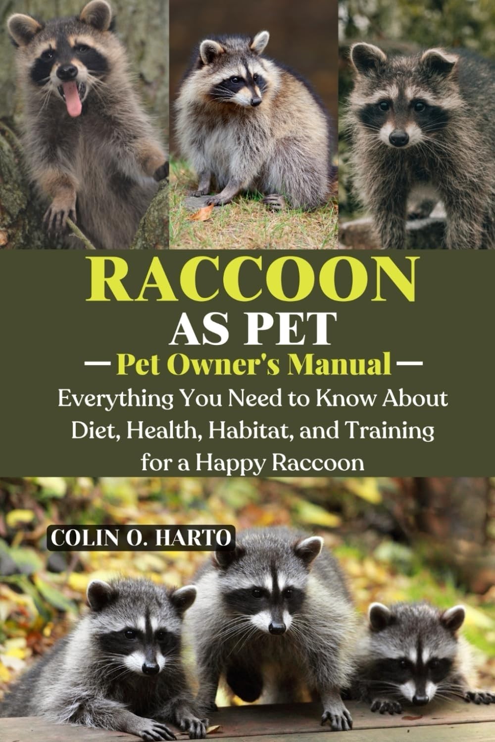 RACCOON AS PET: Everything You Need to Know About Diet, Health, Habitat, and Tra