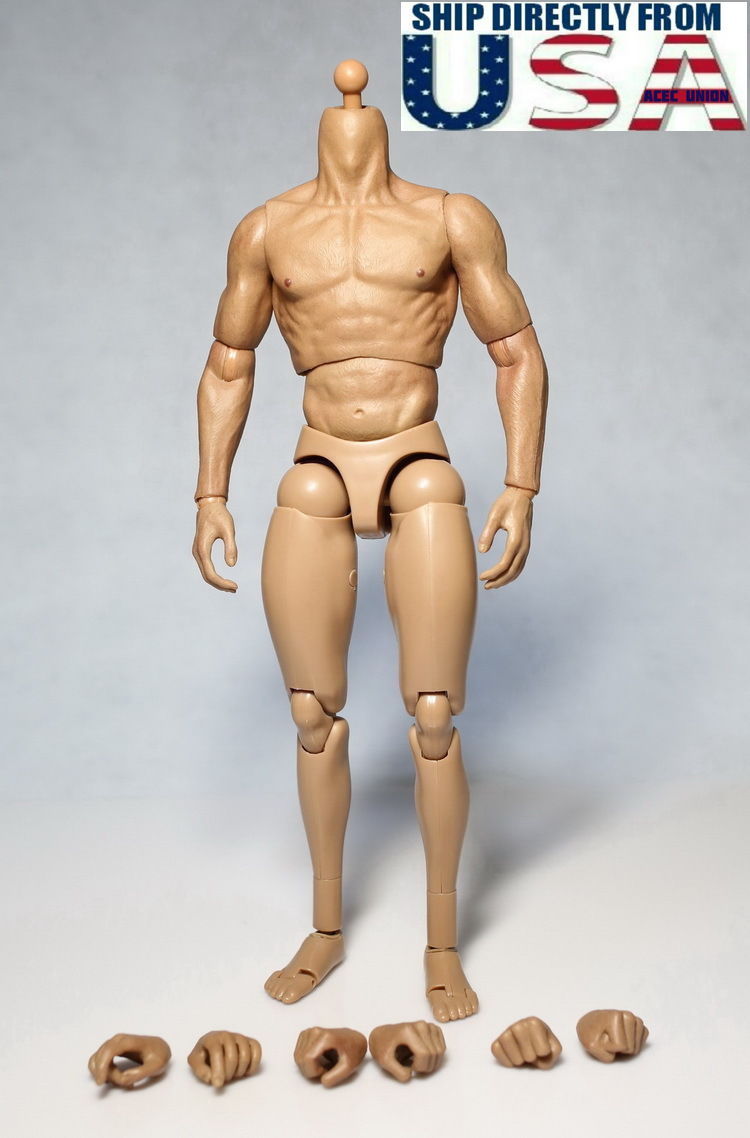 ZC Toys 1/6 Muscular Male Figure Body For 12\