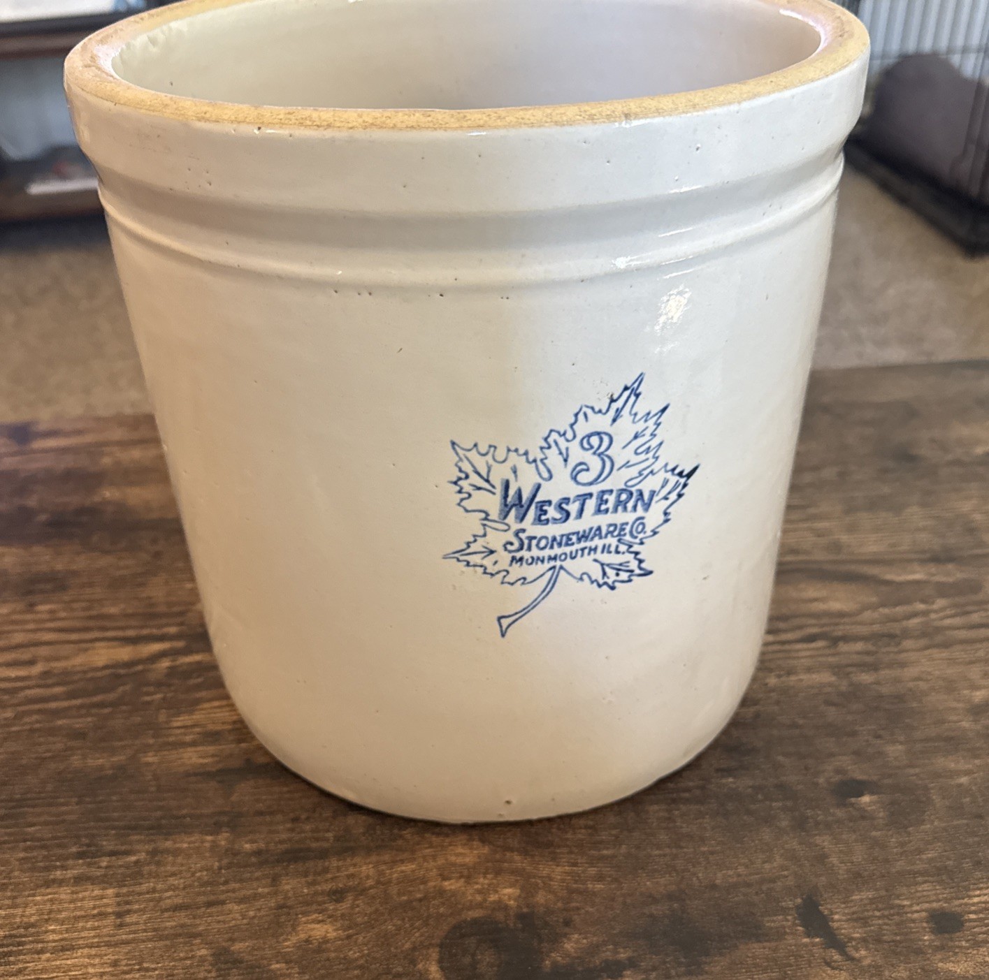 Double Decorated Vintage Western Stoneware 3 Gallon Crock Maple Leaf & Floral Double Decorated Vintage Western Stoneware 3 Gallon Crock Maple Leaf & Floral