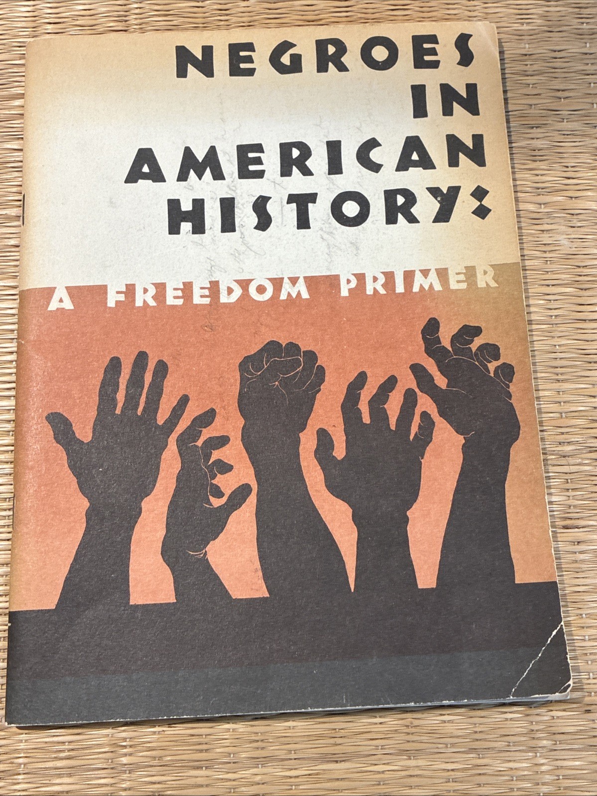 Negroes in American History: A Freedom Primer  Bobbi & Frank Cieciorka 1965 RARE