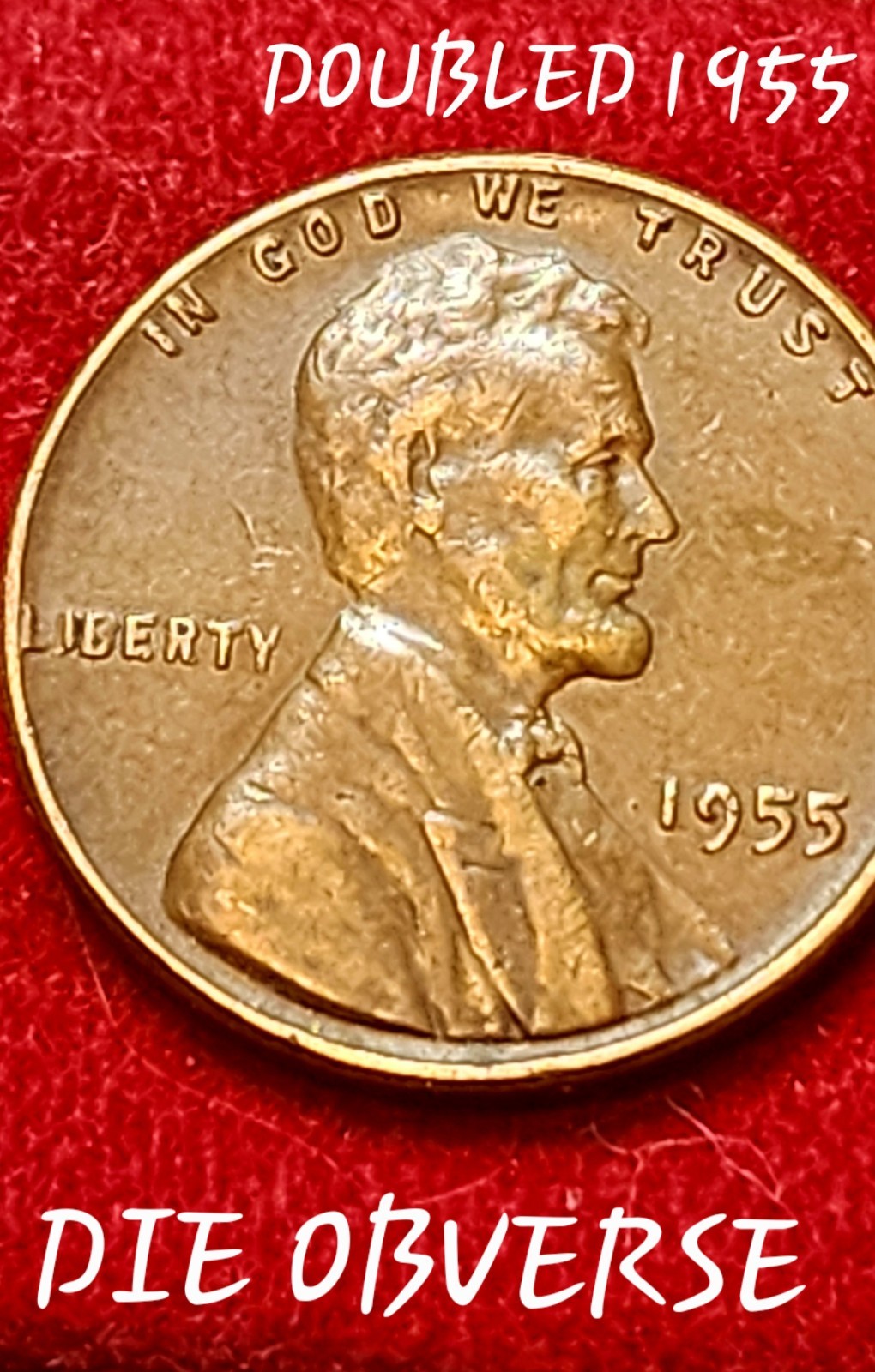 1955 double die Obverse Wheat Cent 💰🌾 #Coin #Collection #History #Cent 1955 double die Obverse Wheat Cent 💰🌾 #Coin #Collection #History #Cent