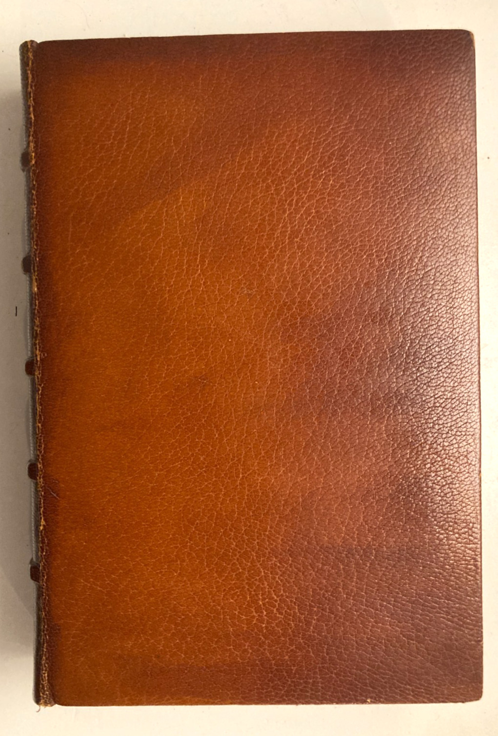 1900 Nisbet Our Forests and Woodlands Riviere Morocco Leather Binding 1st Ed