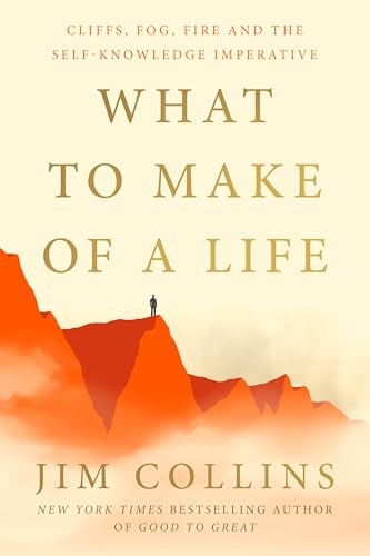What to Make of a Life Cliffs - GOOD