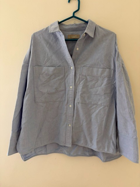 Everlane\'s The Boxy Oxford Button Down in Blue NWOT SZ L