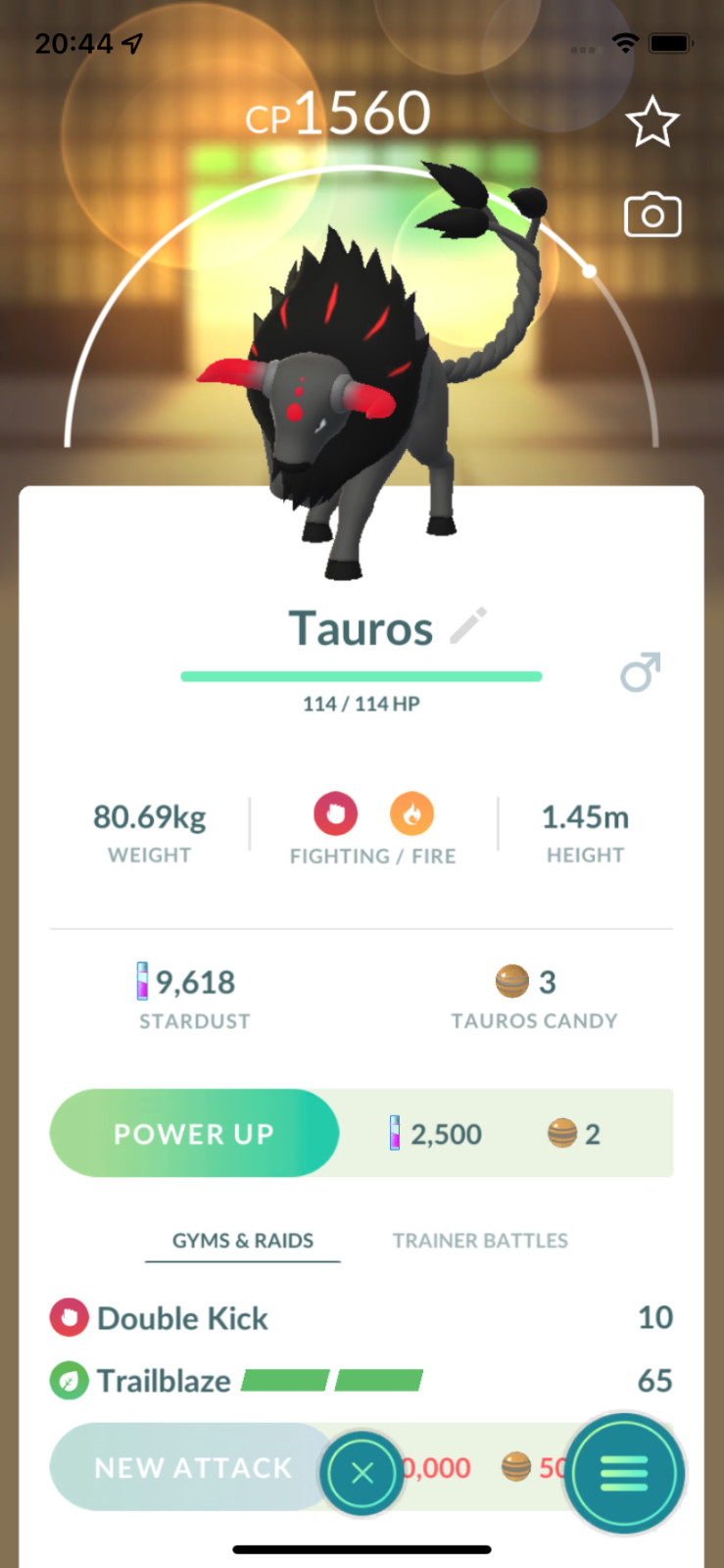 Paldean Tauros Blaze Breed  Same Day Shippment or Next Day Guaranteed  Go