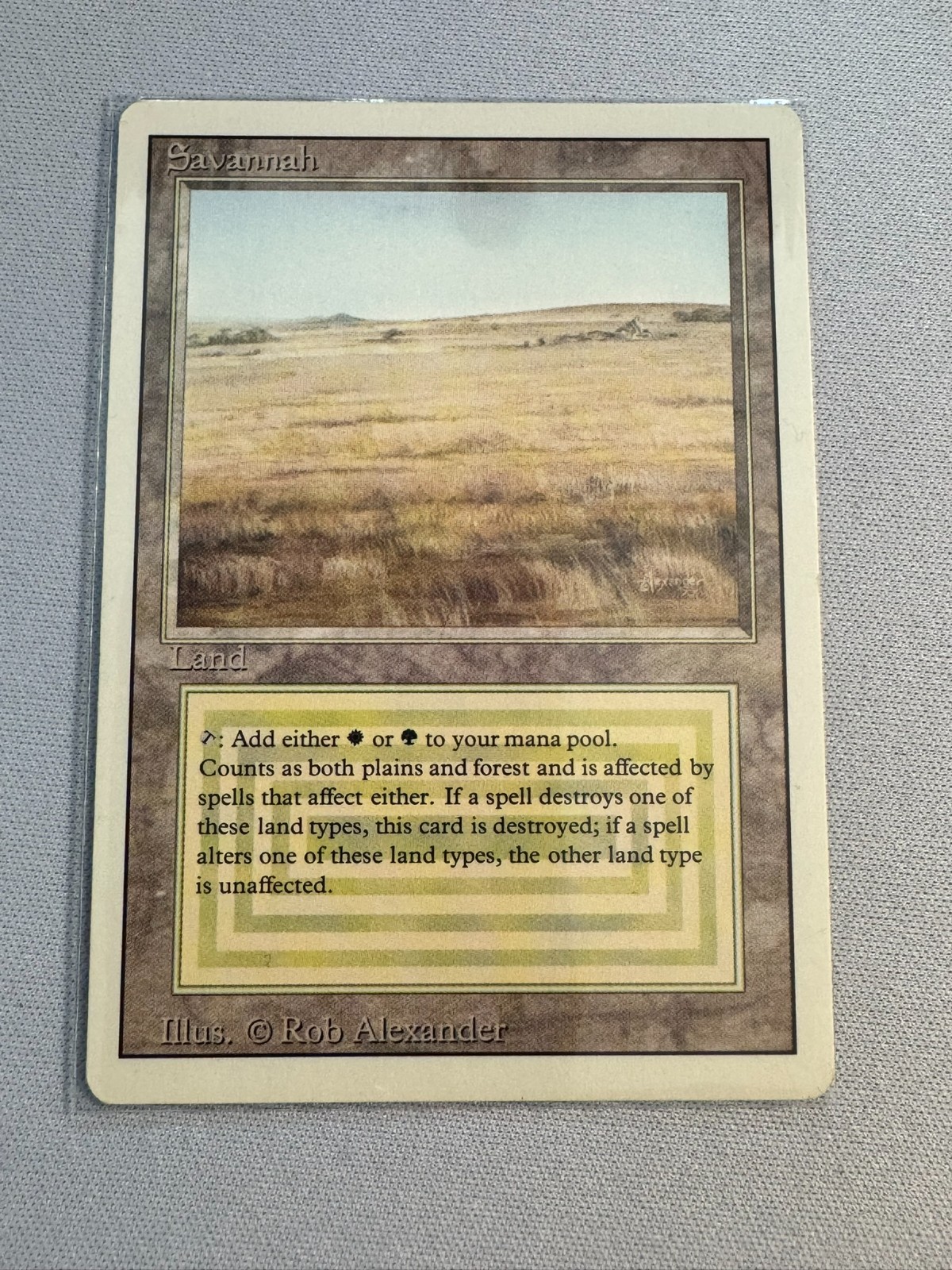 Savannah Revised Edition Magic The Gathering MTG Savannah Revised Edition Magic The Gathering MTG