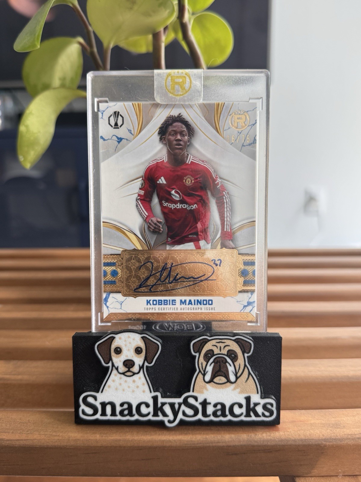 24-25 Topps Reverence UEFA Club Auto Blue Kobbie Mainoo /75 Still Sealed