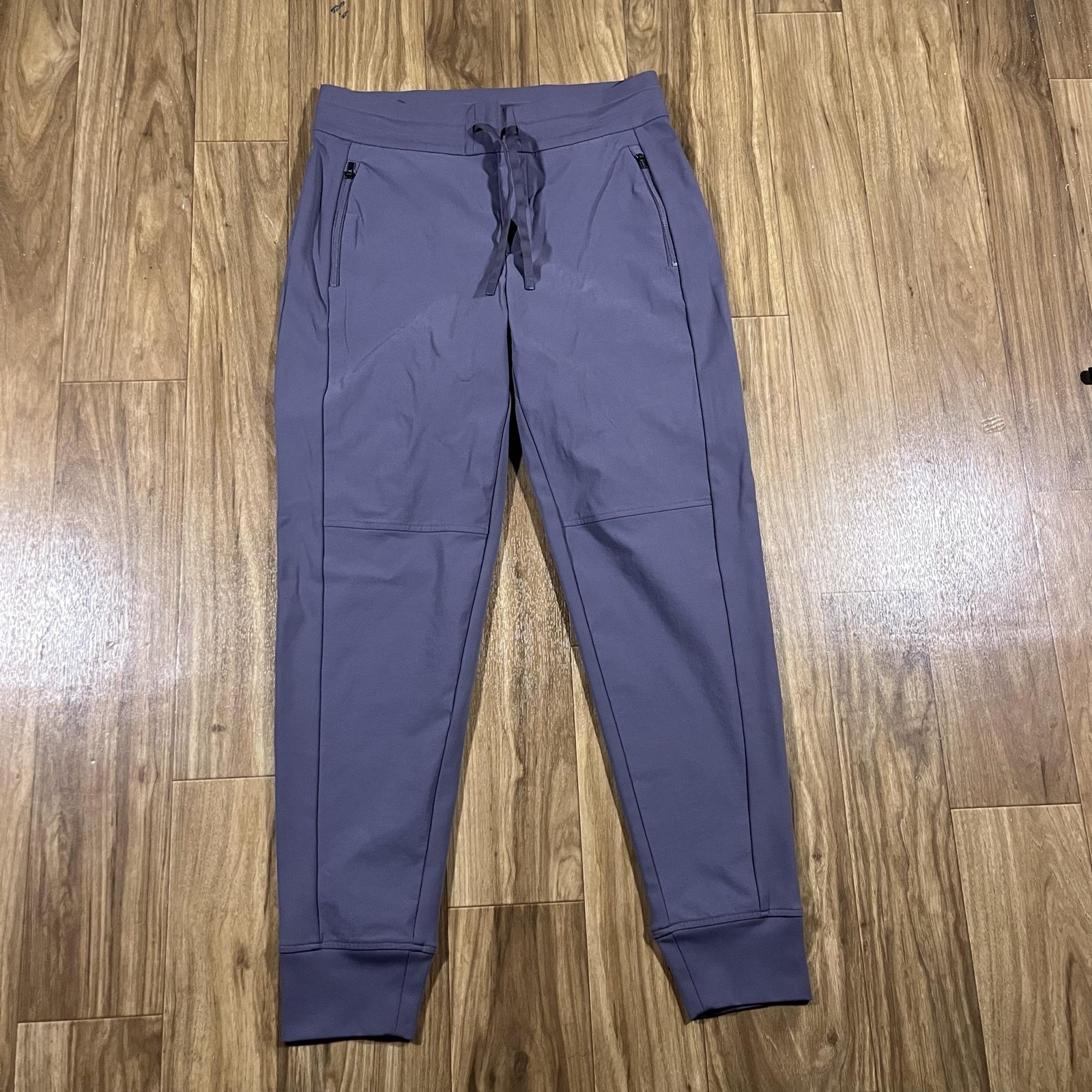 Athleta Headlands Hybrid Trek Jogger Pants Womens 6 Purple Nylon Zip Pockets