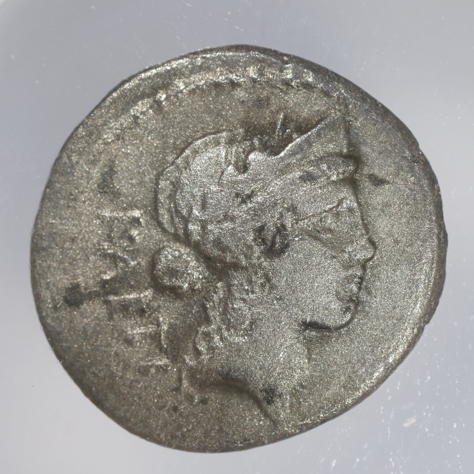 C. Considius Paetus AR Denarius Imperatorial Republic Silver Coin 46 BC NGC VG