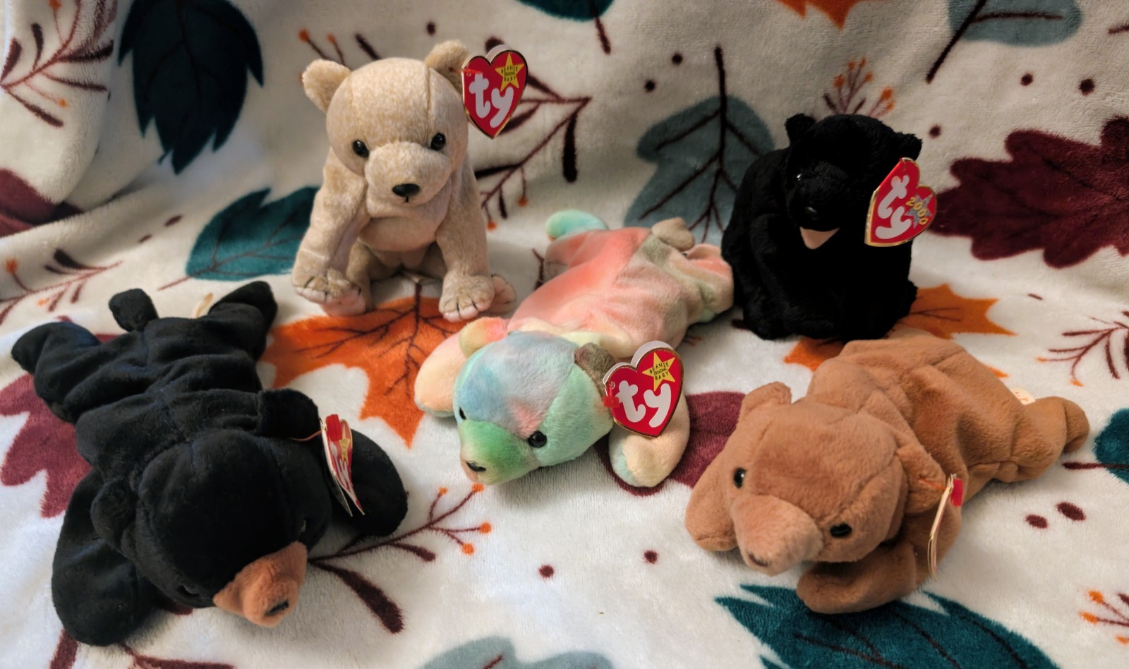 Ty Beanie Baby Lot of 5 Almond Cinders Sammy Cubbie Blackie