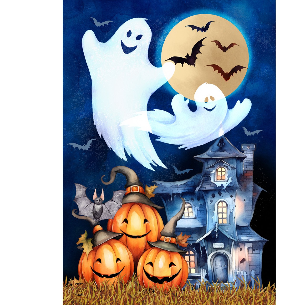 Briarwood Lane Halloween Haunting House Flag 28x40