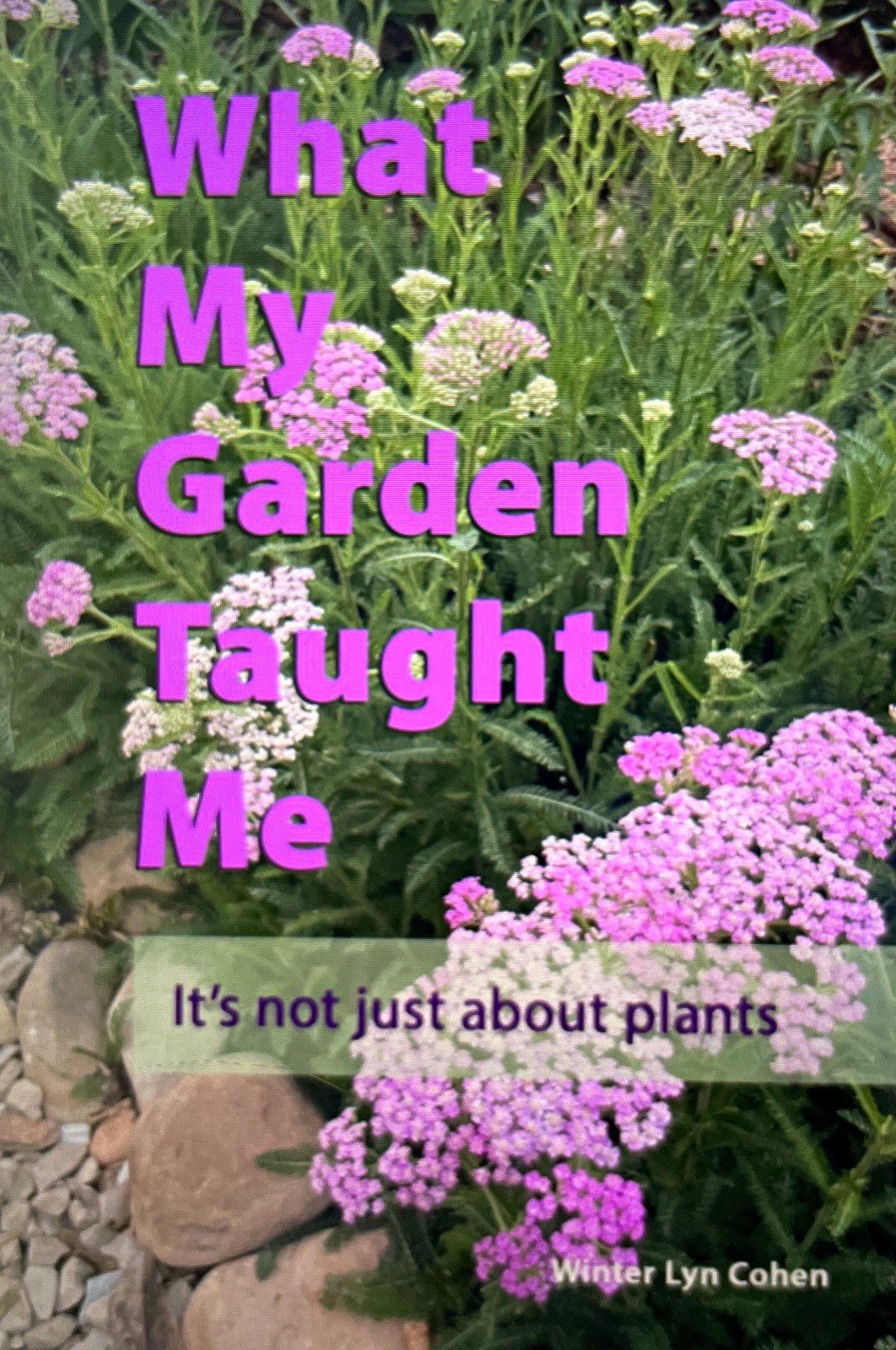 What My Garden Taught Me by Winter Lyn Cohen Paperback Gardening Nonfiction