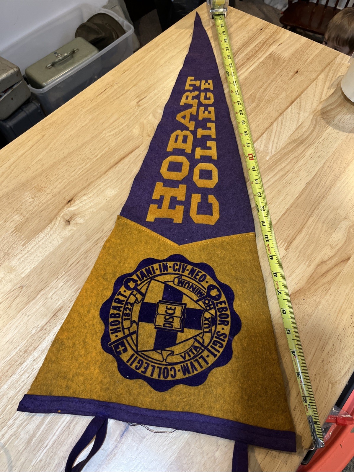 Vintage Hobart College Pennant Vintage Hobart College Pennant