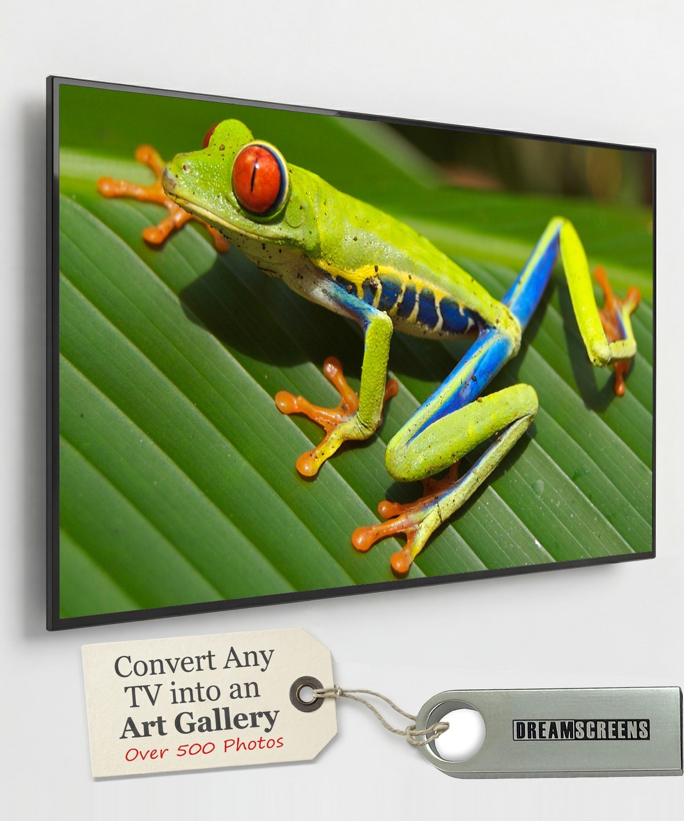 Convert Your TV into a Photo Gallery | Dream Nature TV Screensaver Art Display Convert Your TV into a Photo Gallery | Dream Nature TV Screensaver Art Display