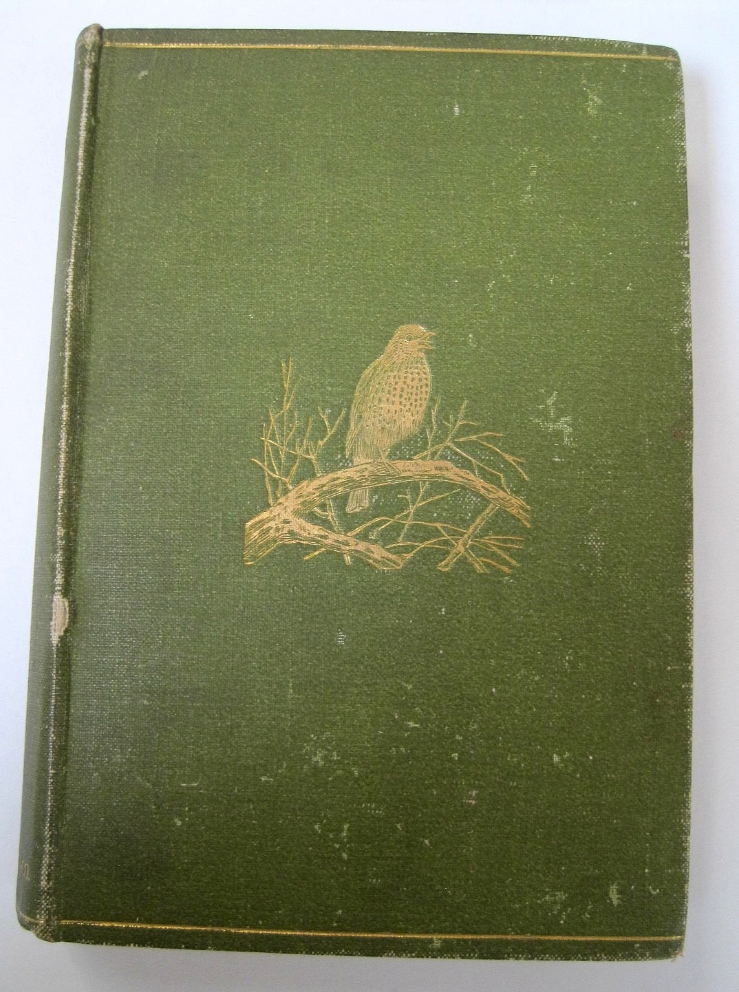 ANTIQUE 1895 1st Edition BRITISH BIRDS Hudson BEAUTIFUL Chromoliths ILLUSTRATED