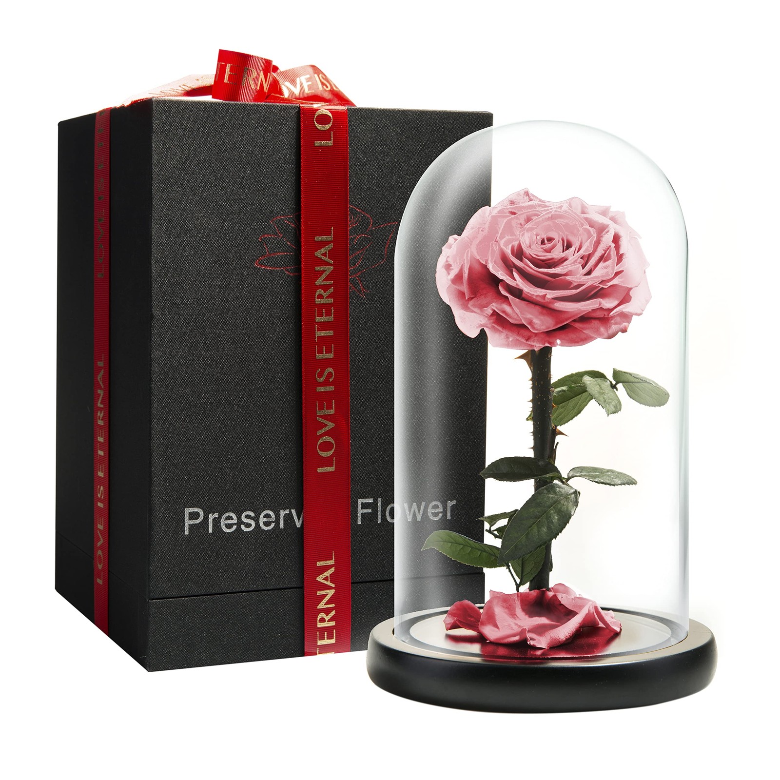 LOVAPPY Forever Preserved Rose Glass Dome (Pink, 9 Inch) LOVAPPY Forever Preserved Rose Glass Dome (Pink, 9 Inch)