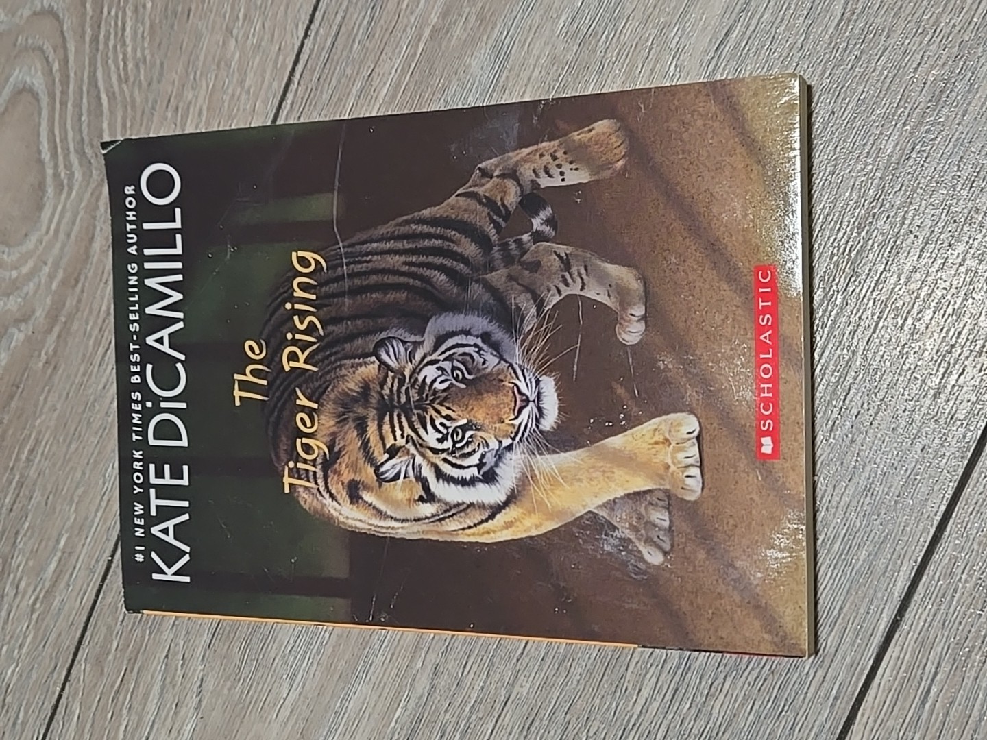 Scholastic 12 Books