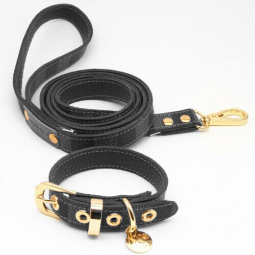 Luxury Fashion Faux Leather Dog Collar & Leash Set, High Quality Pet Accessory
