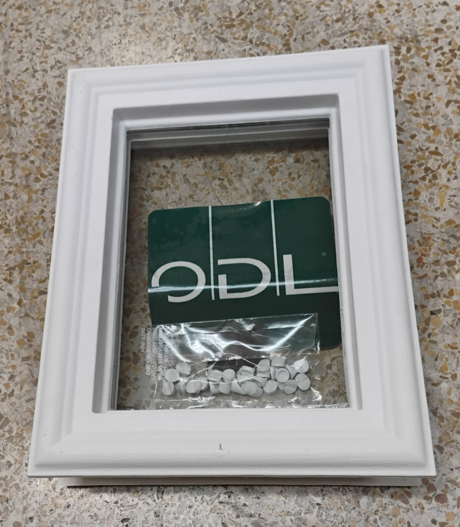 ODL front Door insert Window 10\