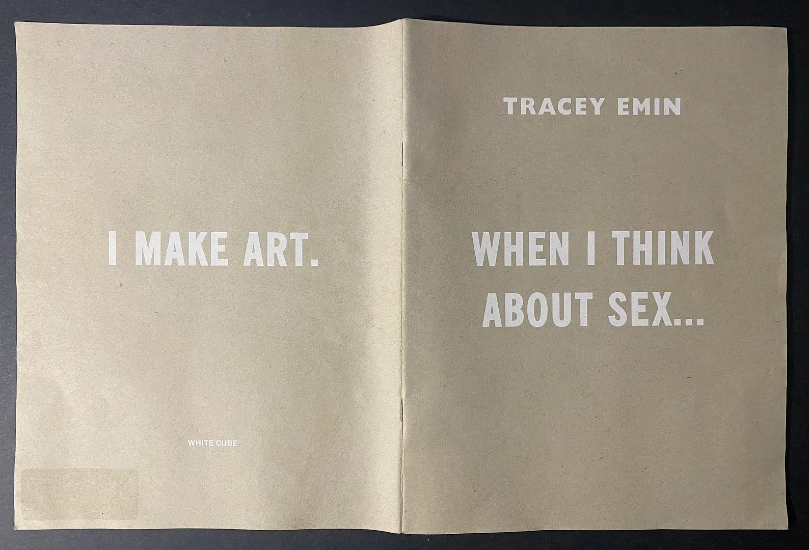 Tracey Emin: When I Think About Sex . . .