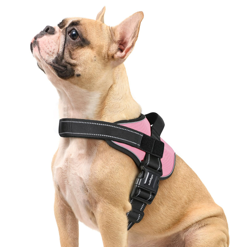 rabbitgoo No Pull Dog Harness with One Buckle Reflective Adjustable No Choke