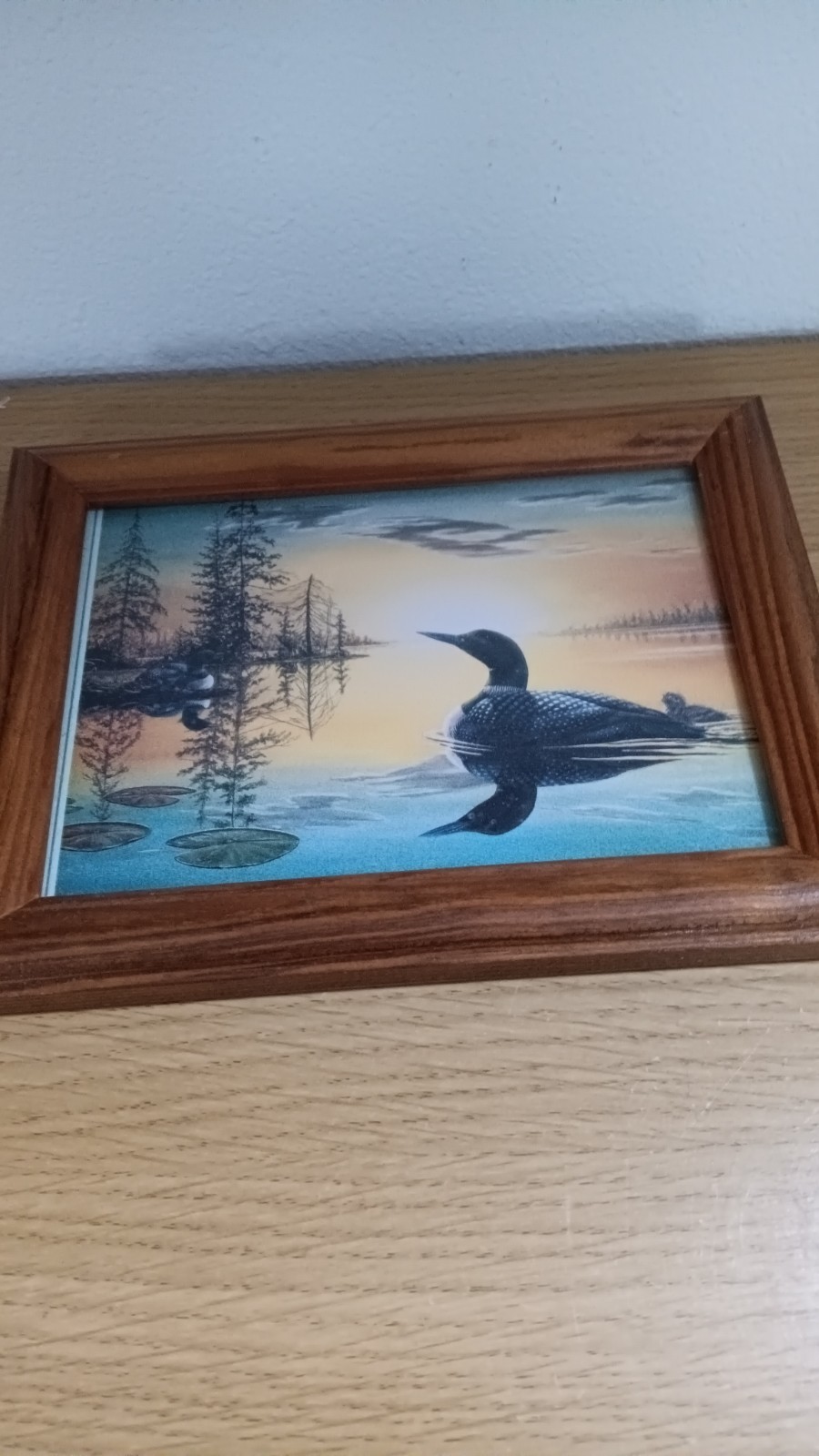 Vintage Framed Loon Family On Lake Picture Wall Decor Vintage Framed Loon Family On Lake Picture Wall Decor