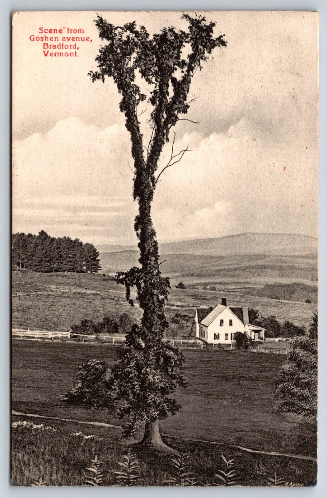 1906 Bradford Vermont Goshen Avenue Postcard 1906 Bradford Vermont Goshen Avenue Postcard