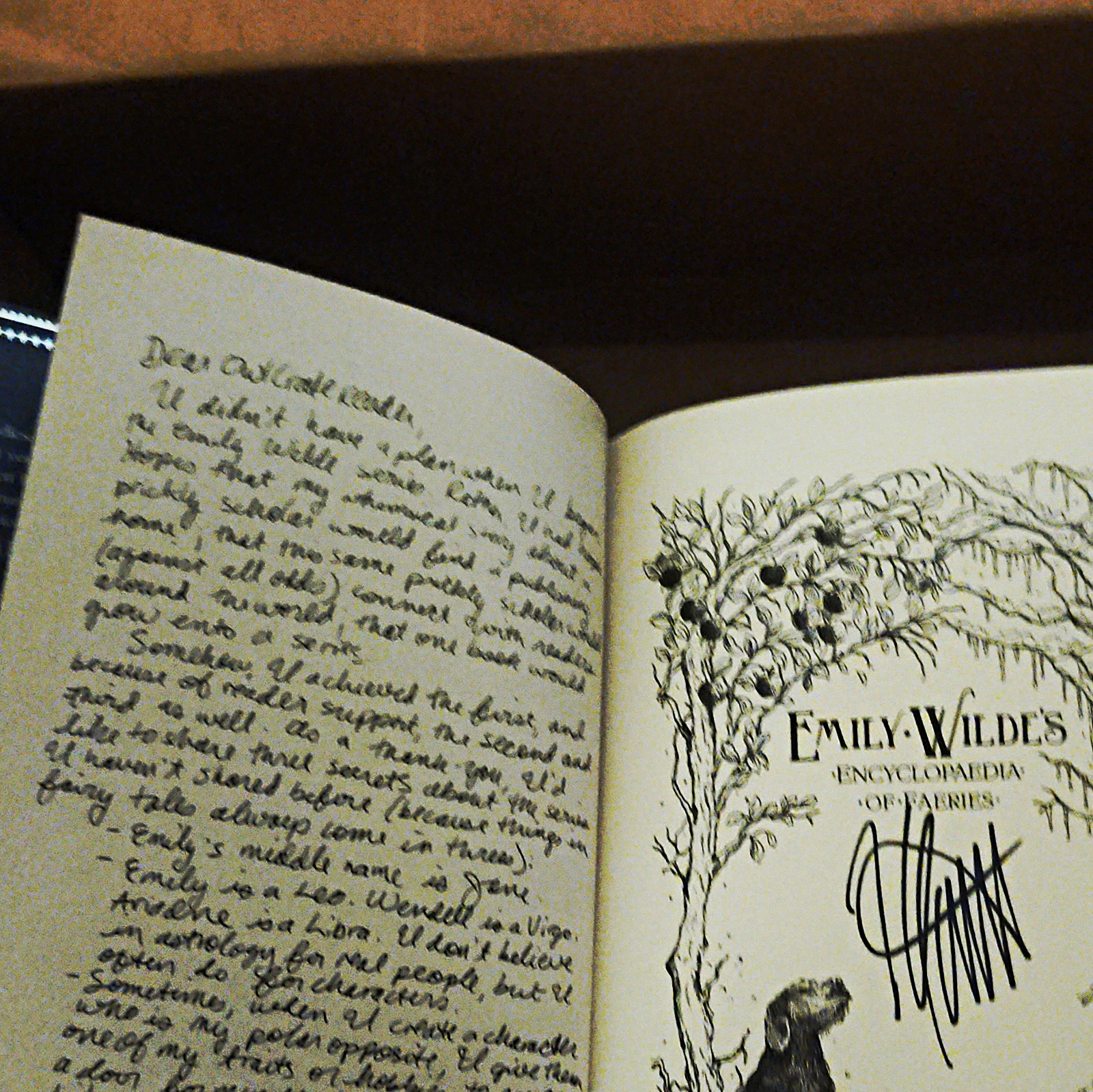 Heather Fawcett Emily Wilde\'s Encyclopaedia of Faeries Signed Inscribed HC Heather Fawcett Emily Wilde\'s Encyclopaedia of Faeries Signed Inscribed HC