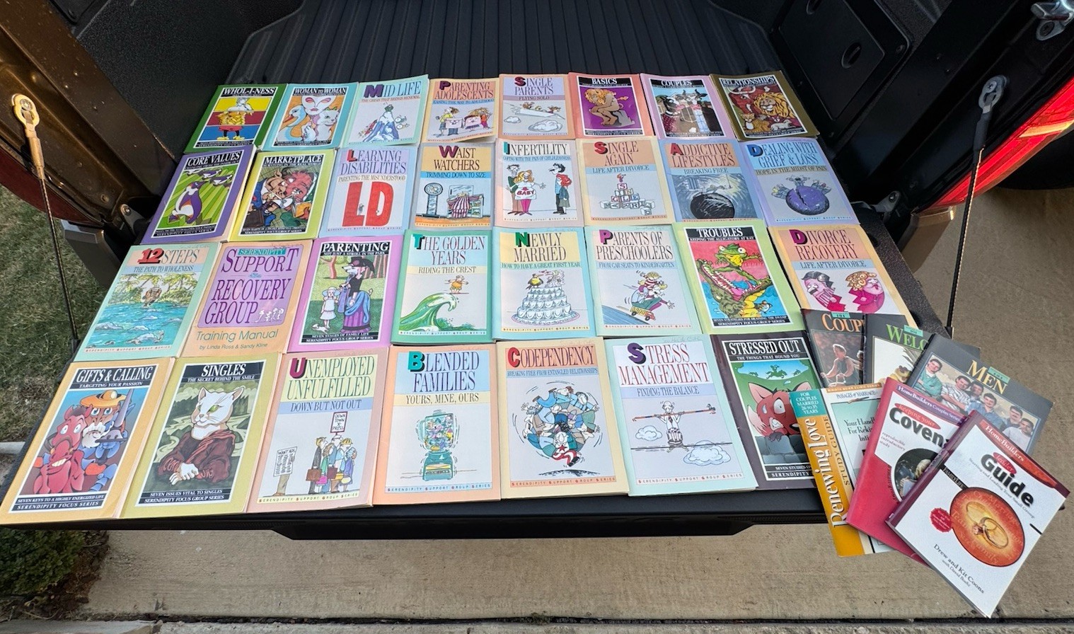 VTG 1980s-1990s Christian Counseling Serendipity Support Group Book Lot Of 37 VTG 1980s-1990s Christian Counseling Serendipity Support Group Book Lot Of 37
