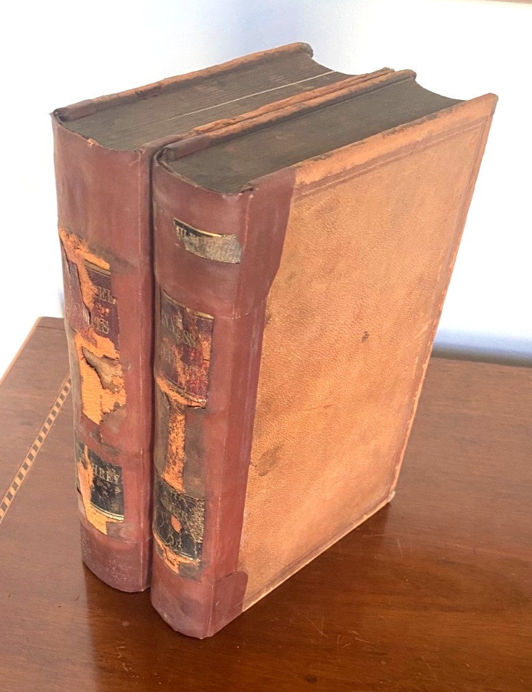 Vintage Law Books, Tennessee Reports, Great Decor and Accent Pieces
