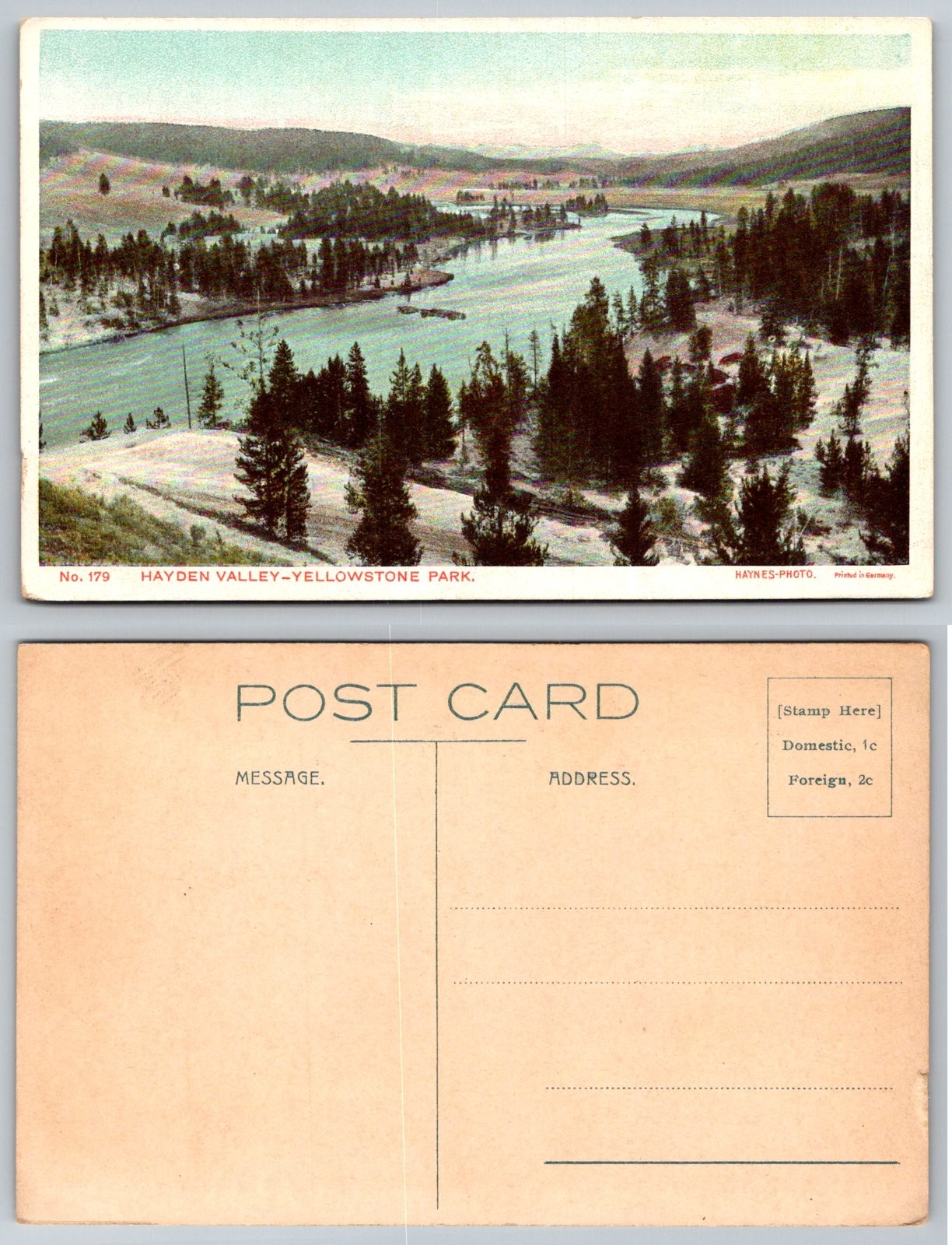 Standard Hayden Valley Yellowstone Park Haynes Photo Postcard