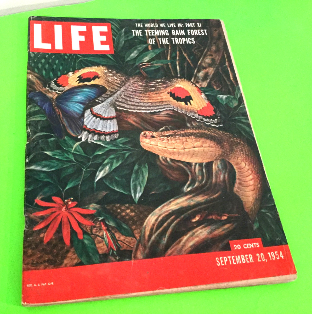 VTG Life September 20 1954 VTG Life September 20 1954
