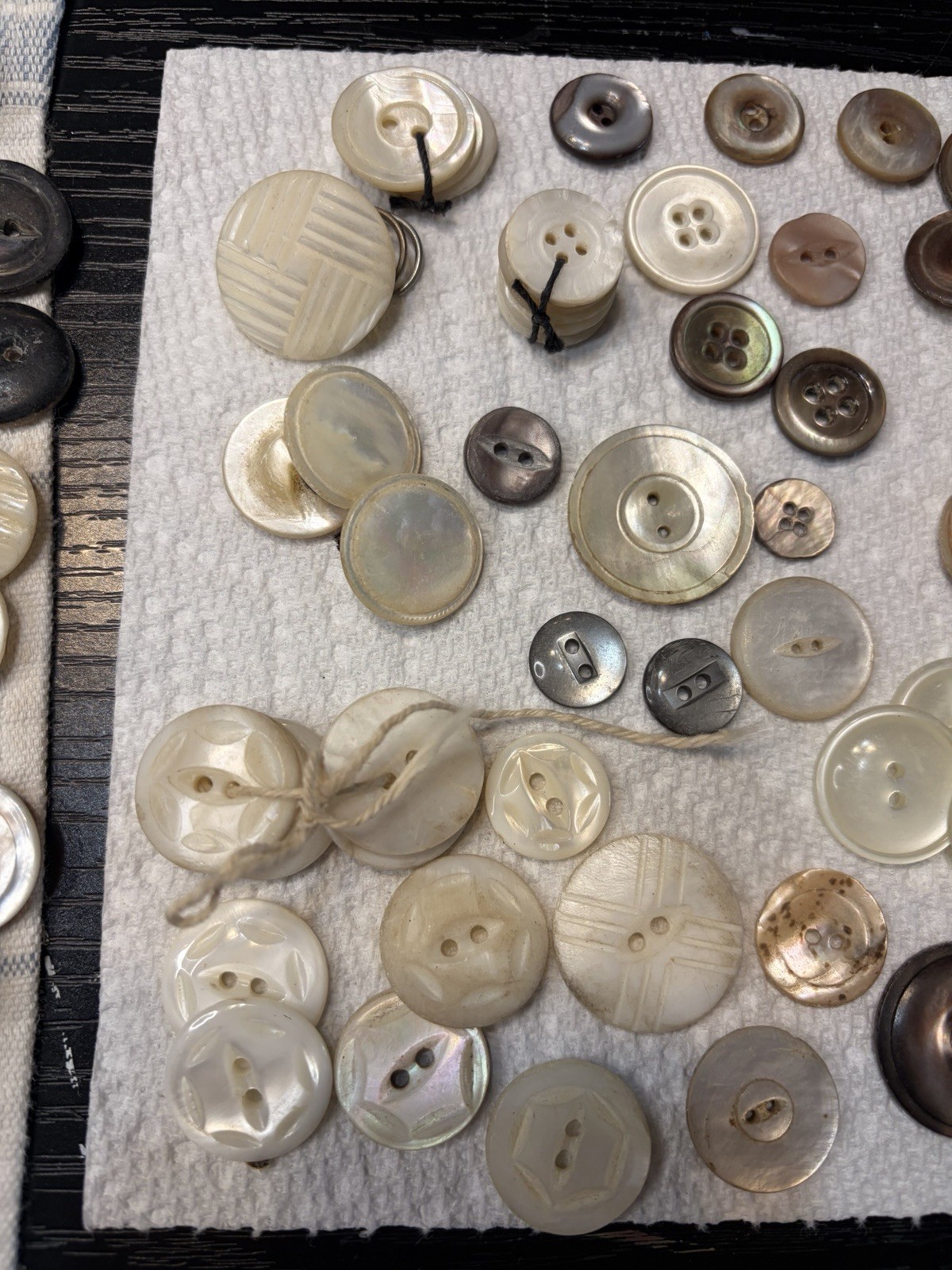 Massive Estate Lot Antique Mother of Pearl Abalone Shell Buttons from Grandpa