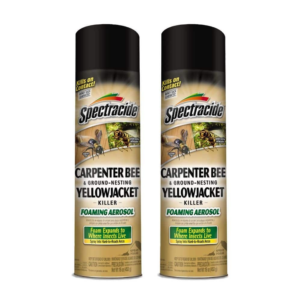 Carpenter Bee and Yellow Jacket Insect Killer 16oz Foaming Aerosol (2 Pack)