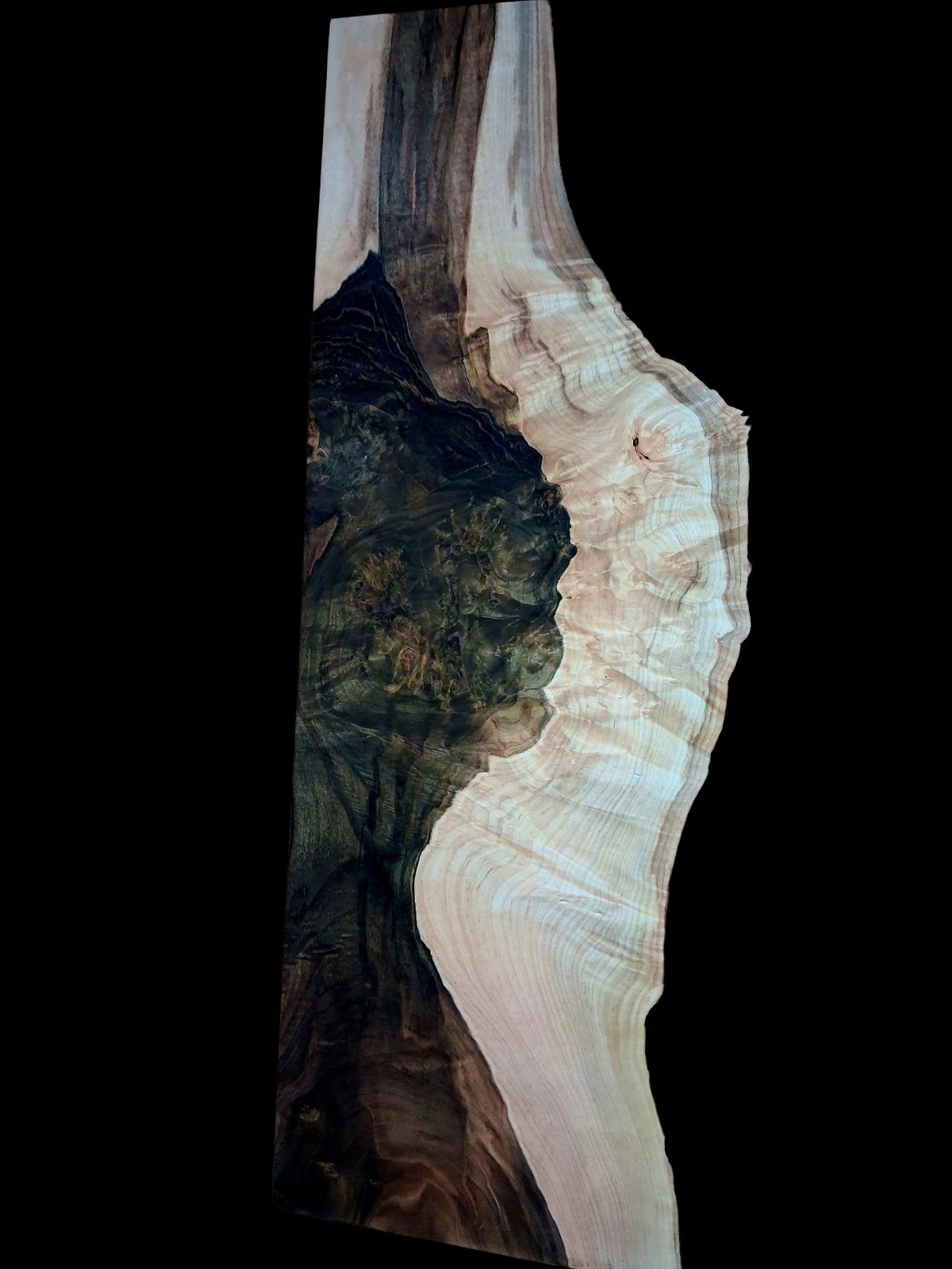 XL MIND BLOWING Birdseye MAPLE  BURL Wood Blank, Charcuterie Blank Spalted Maple